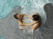 Spirit Hotel Thermal Spa 28